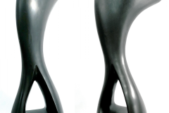 Torso