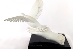 Dream of Freedom